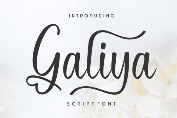 Galiya Font Review for Makers