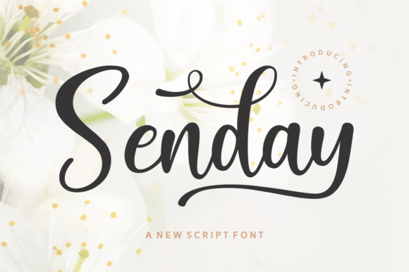 Senday Font Review: Download, Pairing & Commercial Use Guide