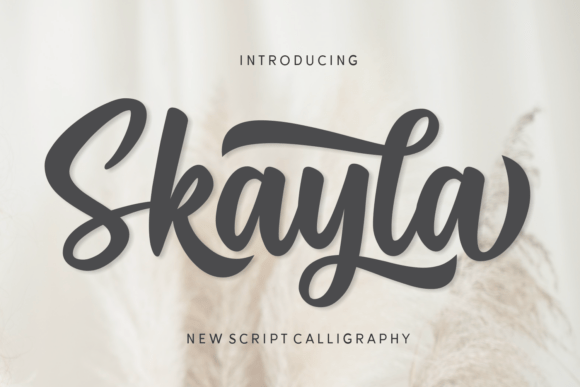 Skayla: The Script Font for Bold Campaigns