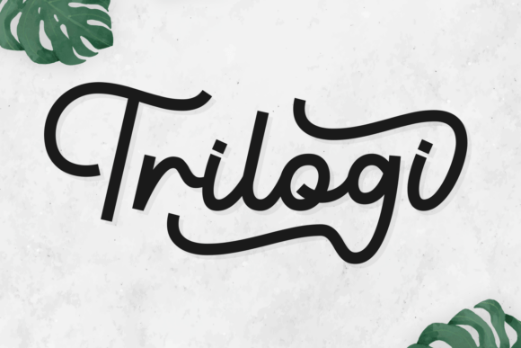 Trilogi Font: A Bold Script for Modern Branding